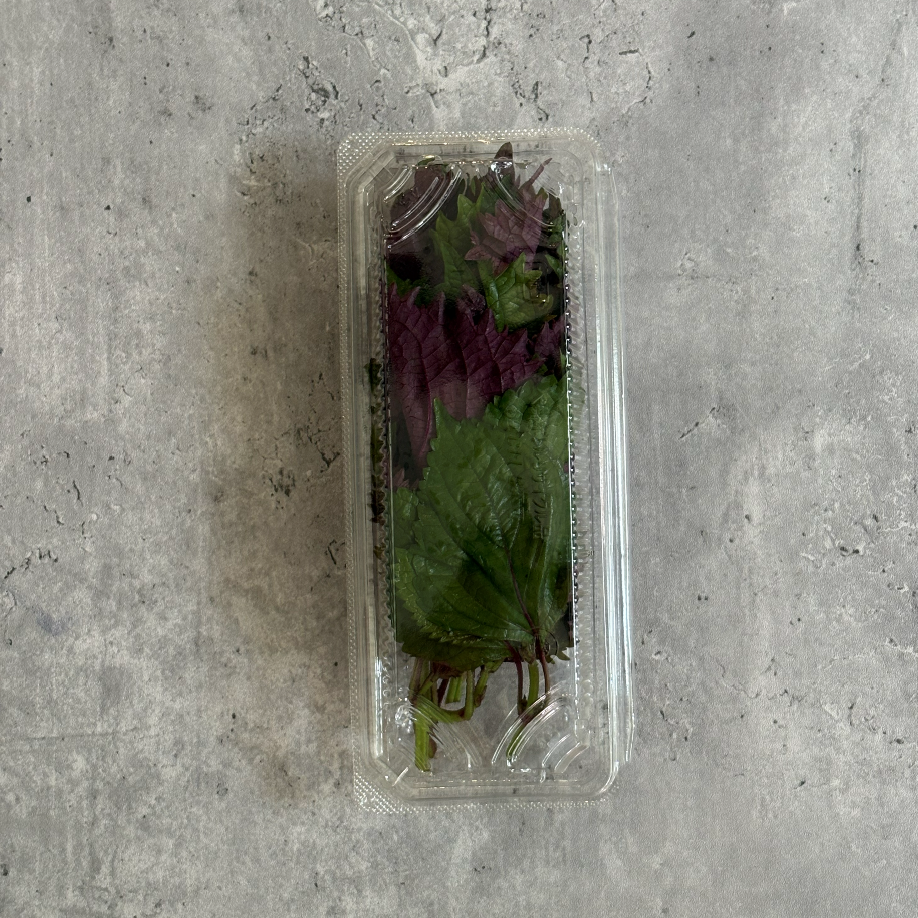 二藍しそ