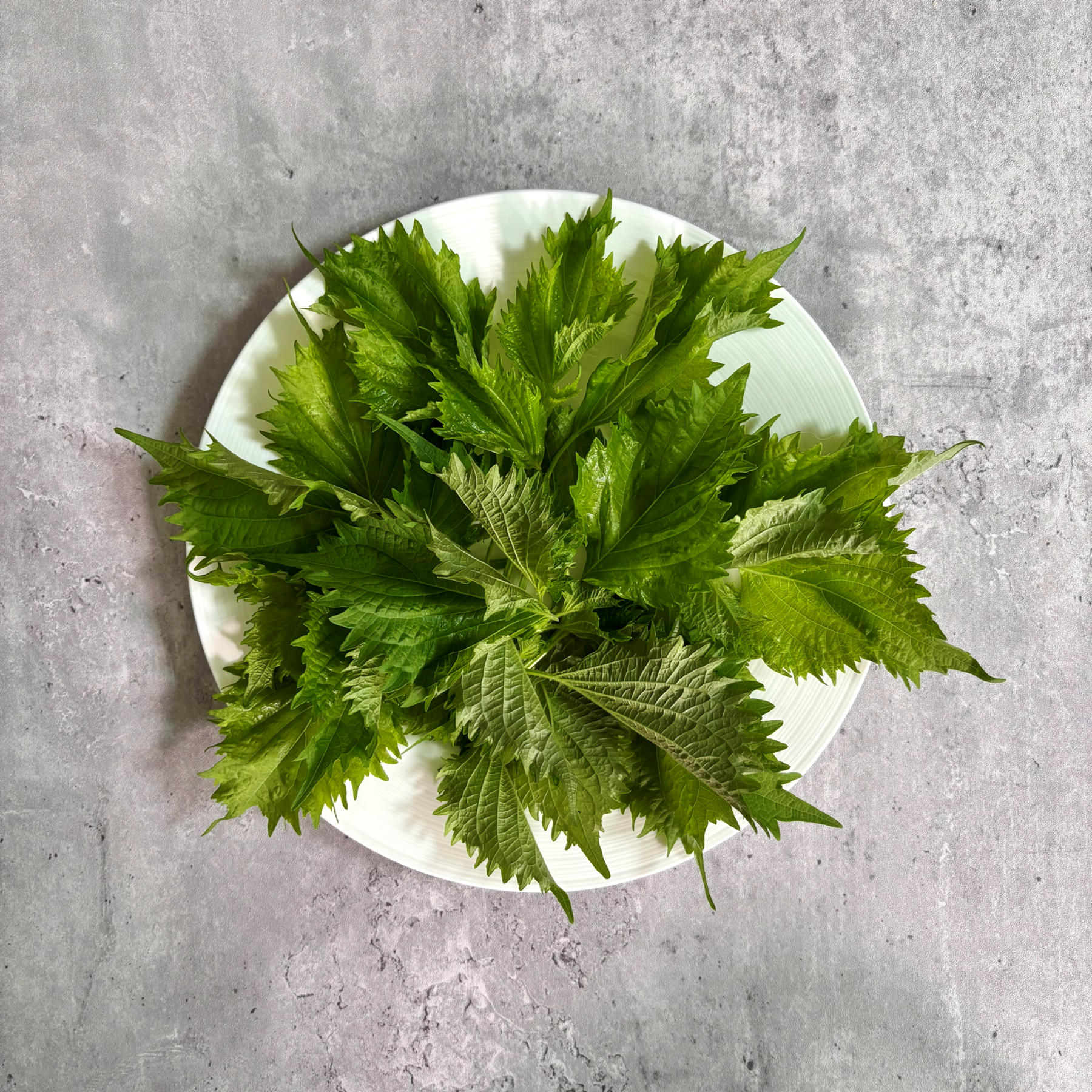 青しそ