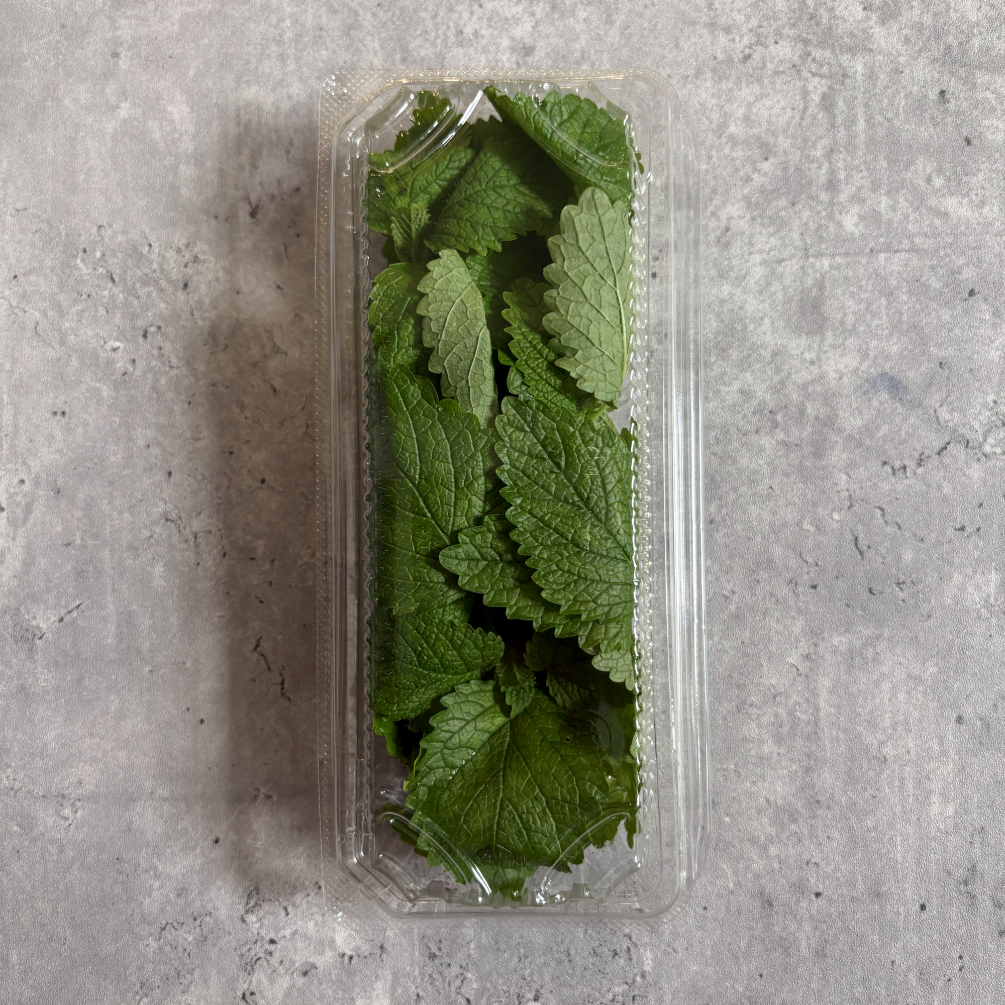 レモンバーム